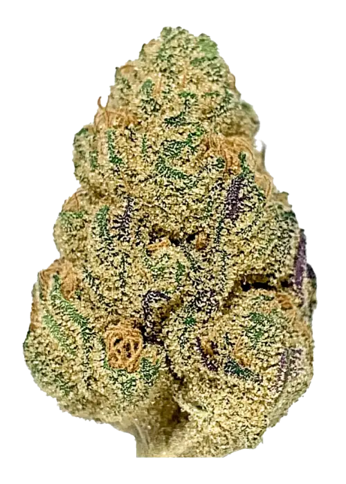 Blueberry Zkittlez |Private Reserve| Indica