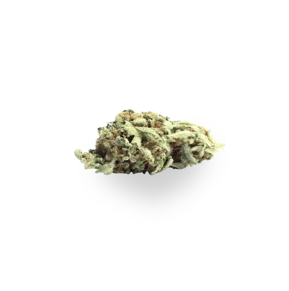 Silver Haze |Bottoms| Sativa