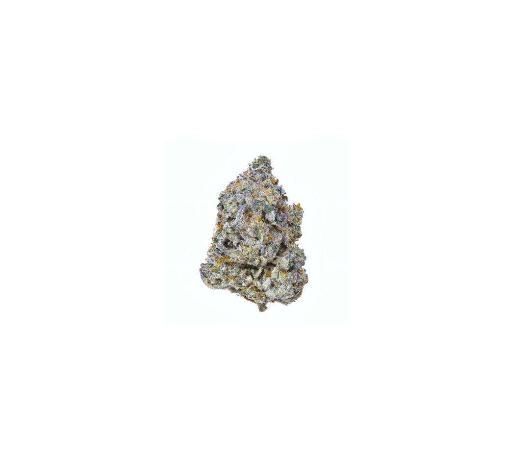 Birthday Cake |Bottoms| Hybrid