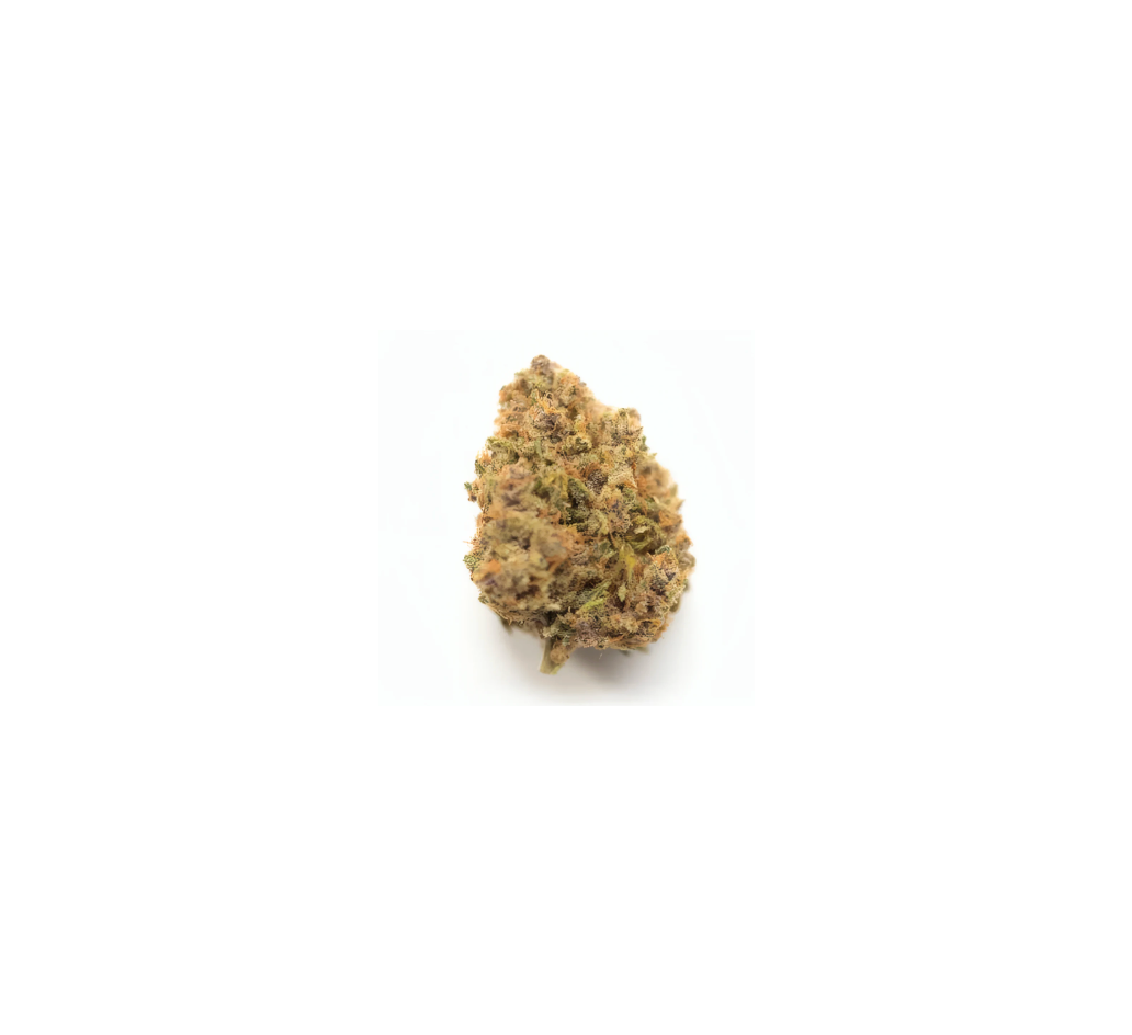 Gucci Cake - Hybrid