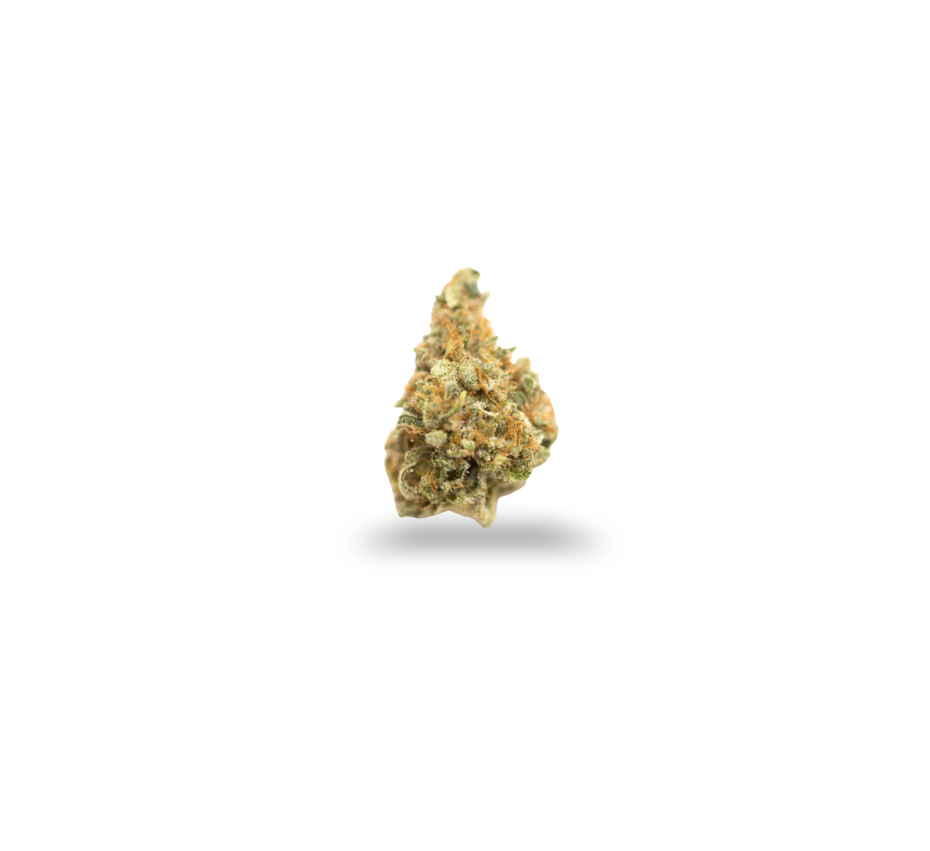 Lemon Sherbet (Smalls) - Hybrid