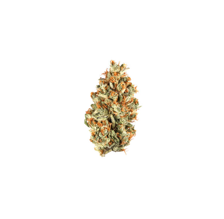 Orange Julius smalls. | Premium | Sativa