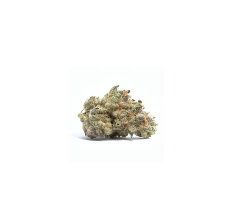 Hawaiian Punch | Bottoms | Hybrid