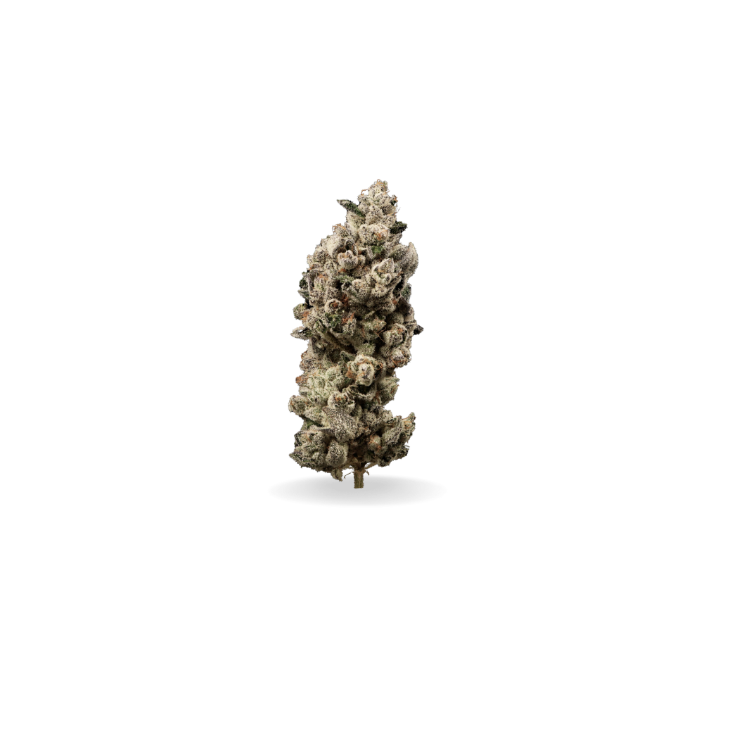 Powder Sugar | Private Reserve | Hybrid