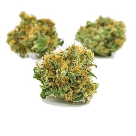 Snow Cone |Bottoms| Hybrid