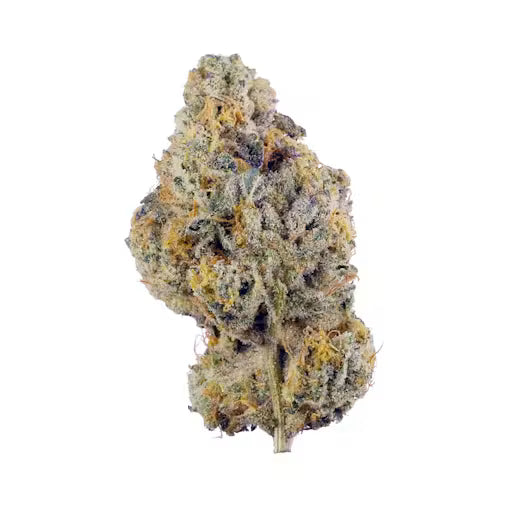 Wedding Cake |Bottoms| Hybrid