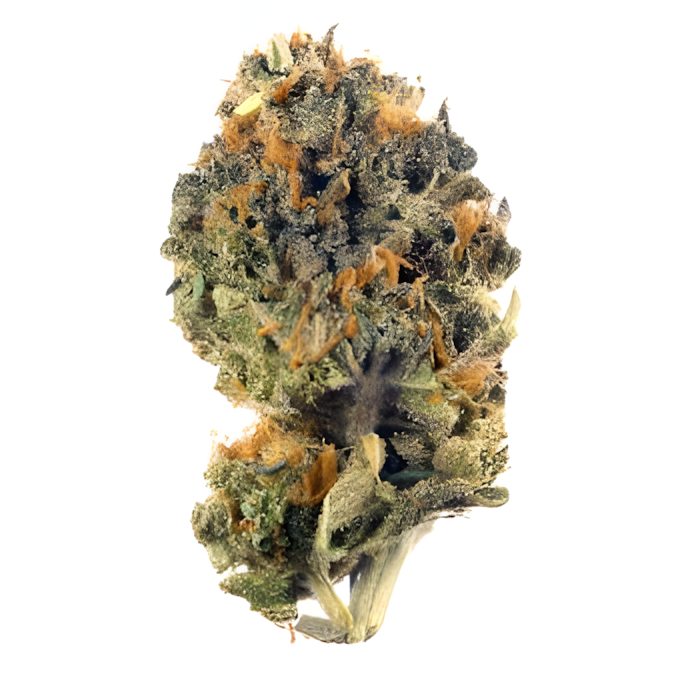 Grape Jolly Rancher Private - Hybrid